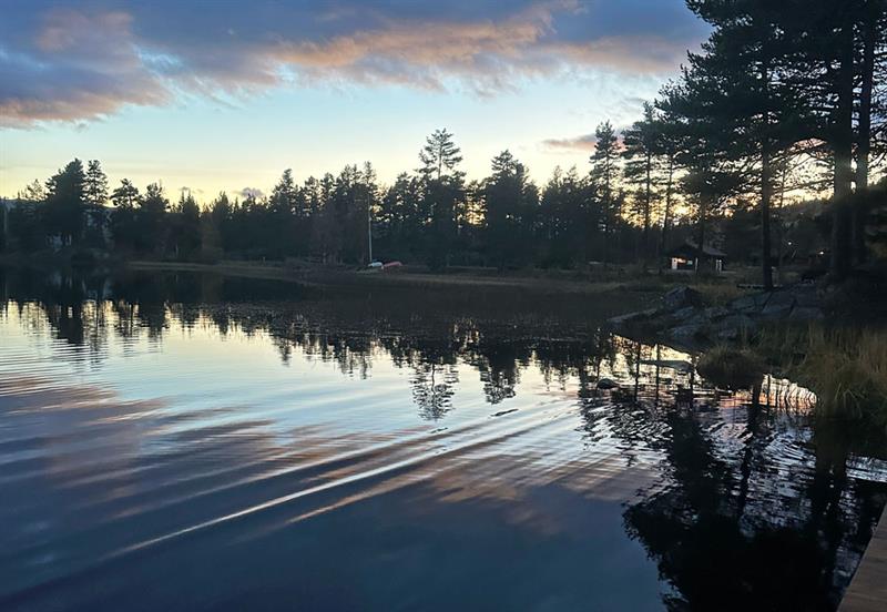 view from the sauna in the evening