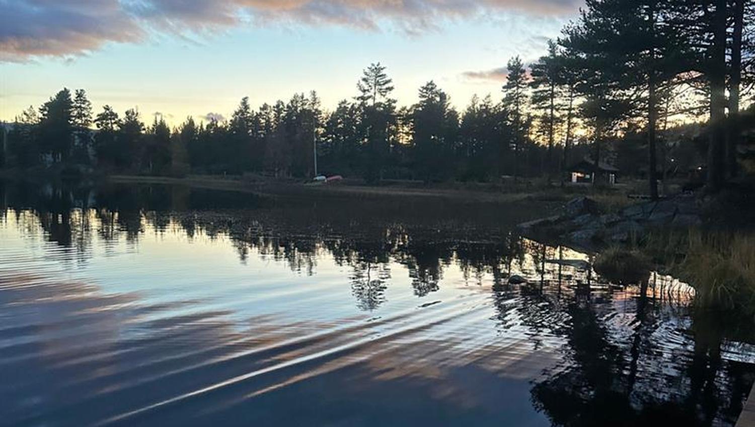 view from the sauna in the evening