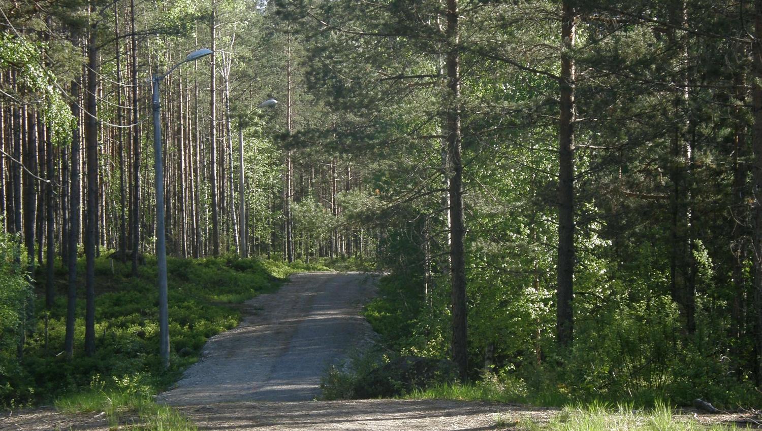 Evje lysløpe