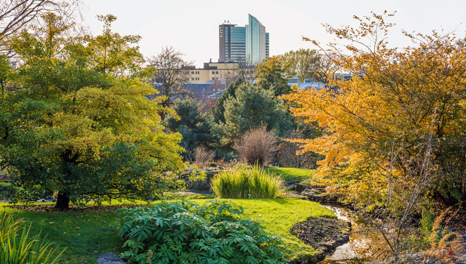 Cityscape and Botanical Garden in Oslo