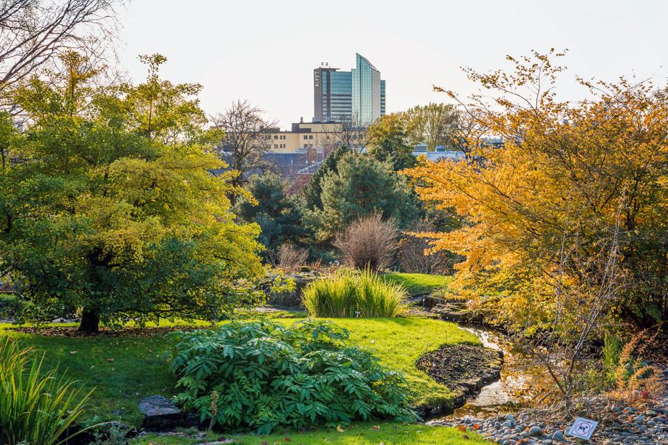 Cityscape and Botanical Garden in Oslo