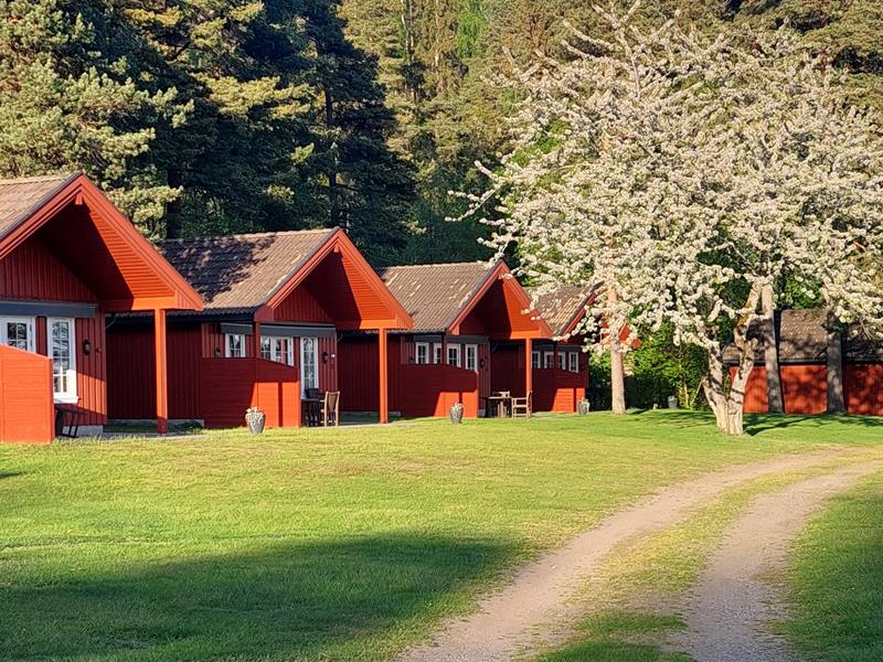 5 red huts in set in the green scenary