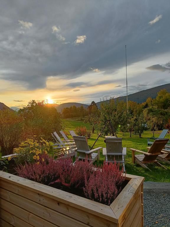 Orheimstunet in Nordfjord - Wooden planter with purple flowers in foreground, Adirondack chairs on lawn, and a cloudy sunset over hills..