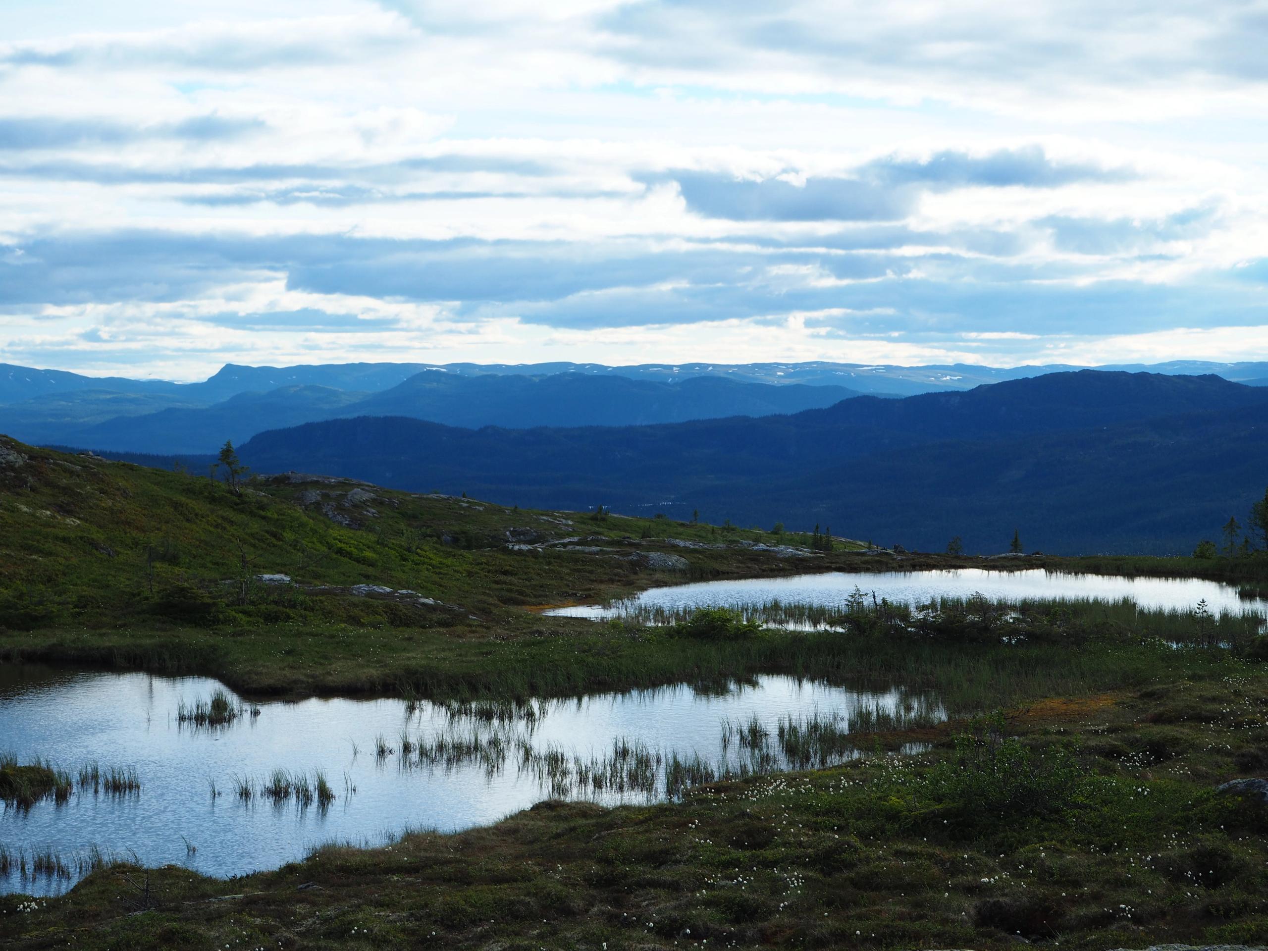 Veslefjell utsikt