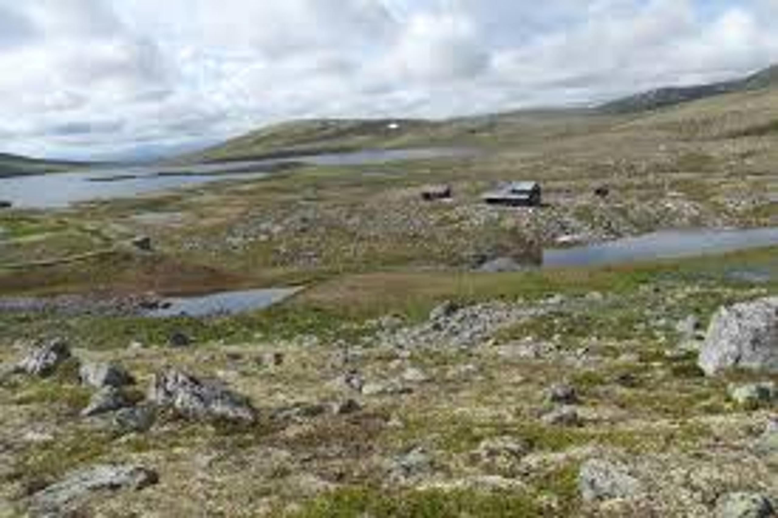 Alvdal Vestfjell1