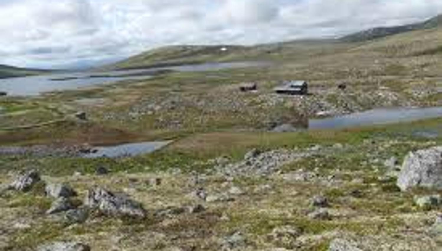 Alvdal Vestfjell1
