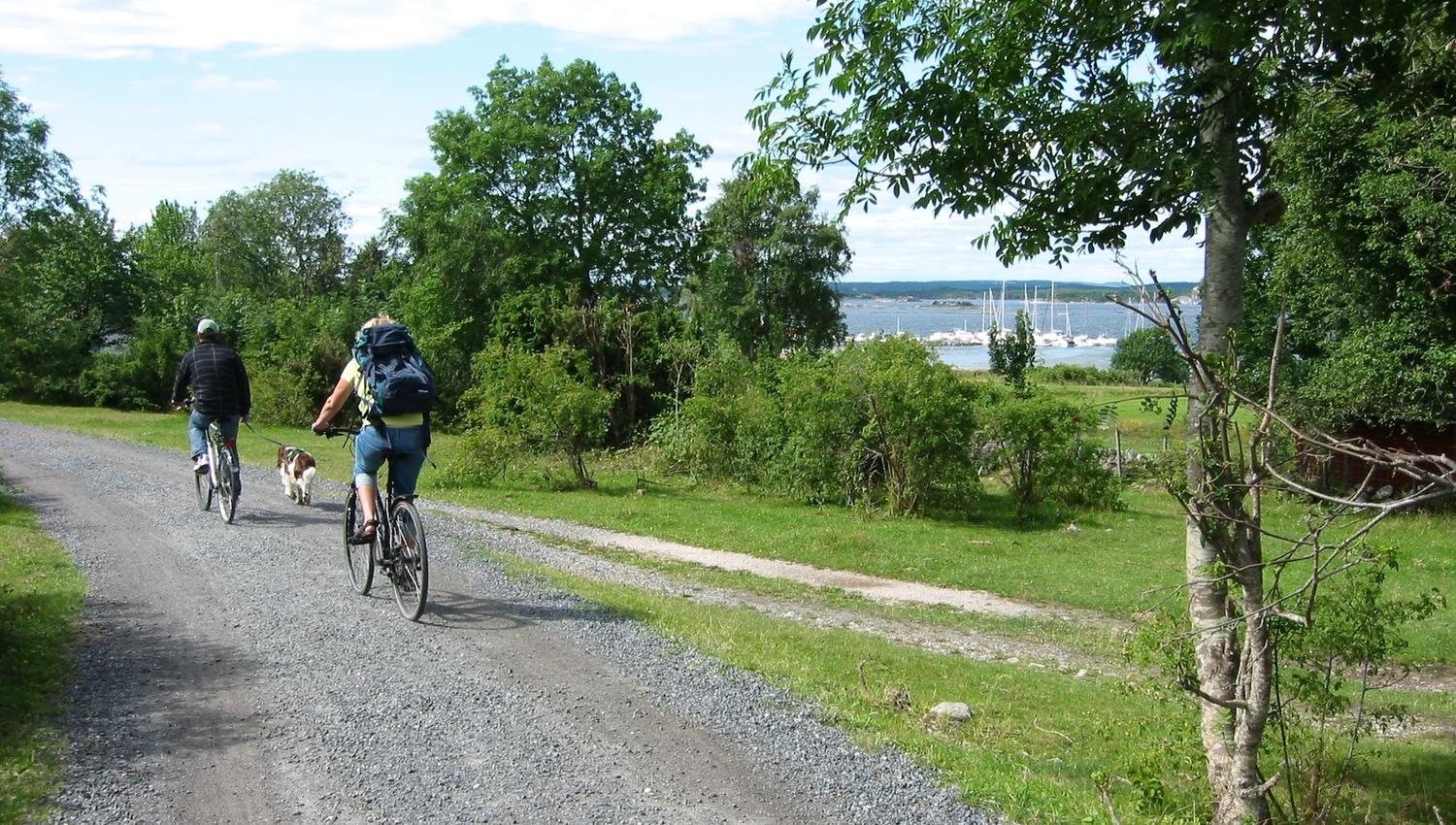 syklister på Jomfruland