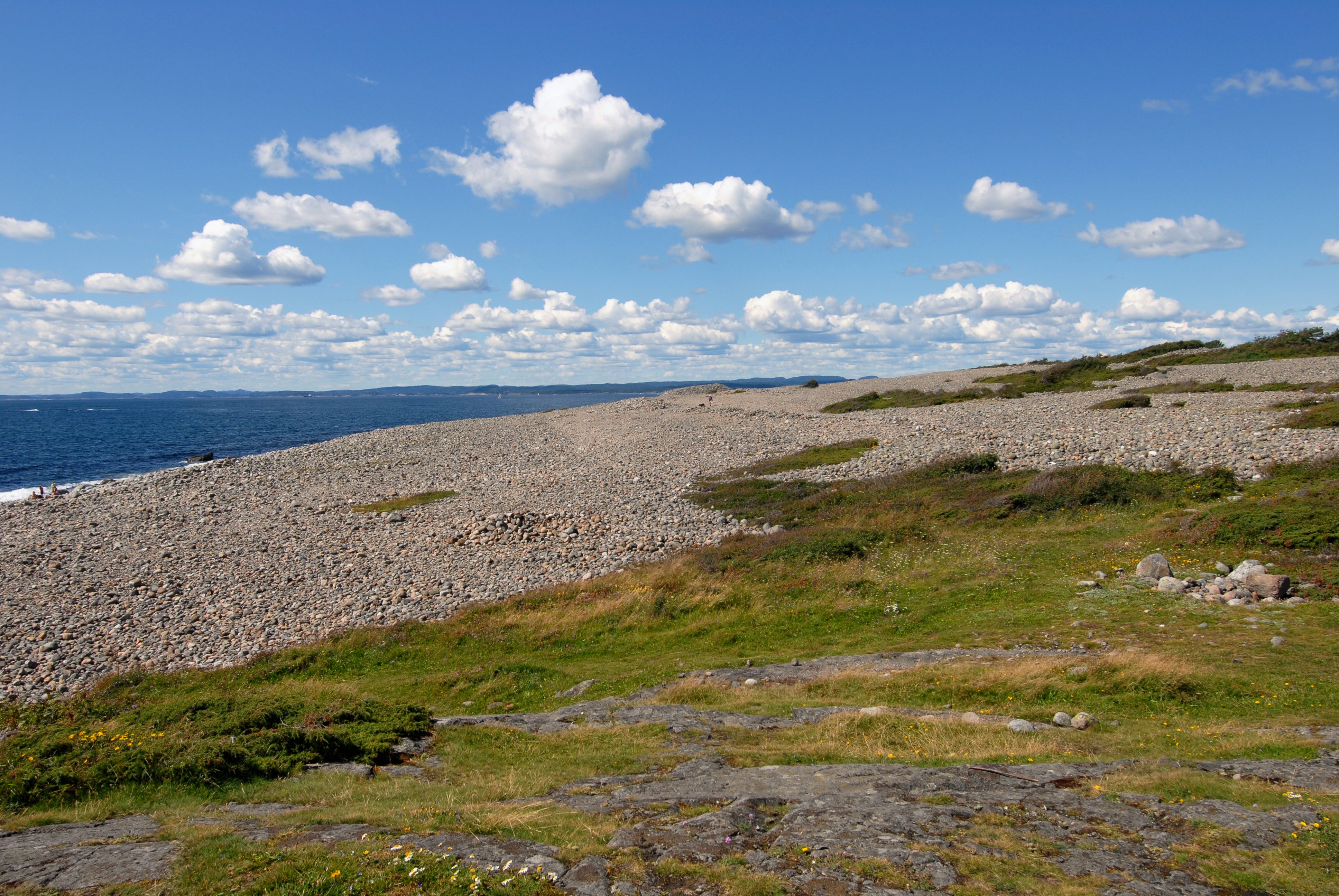 Mølen