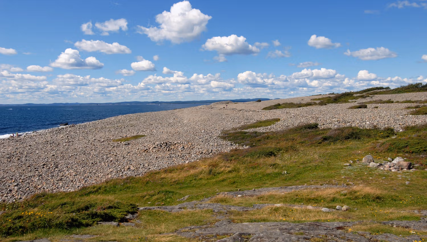 Mølen