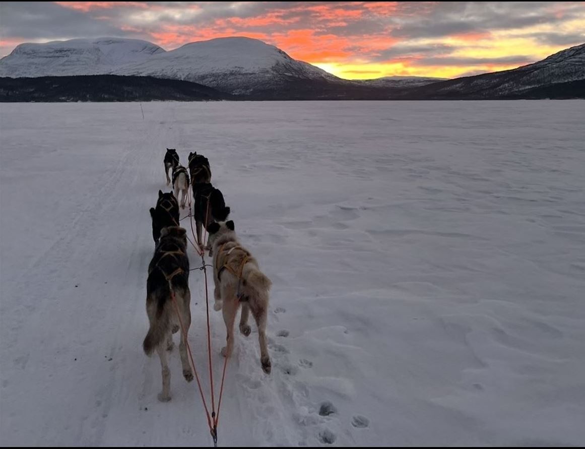 Hundeledetur ute på en frossen innsjø