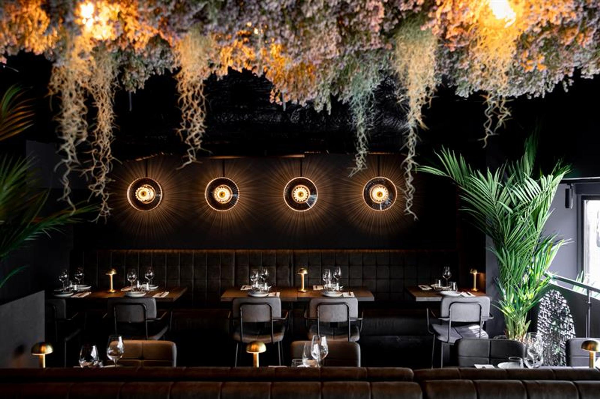 Restaurant interior with vegetation hanging from the ceiling and black walls