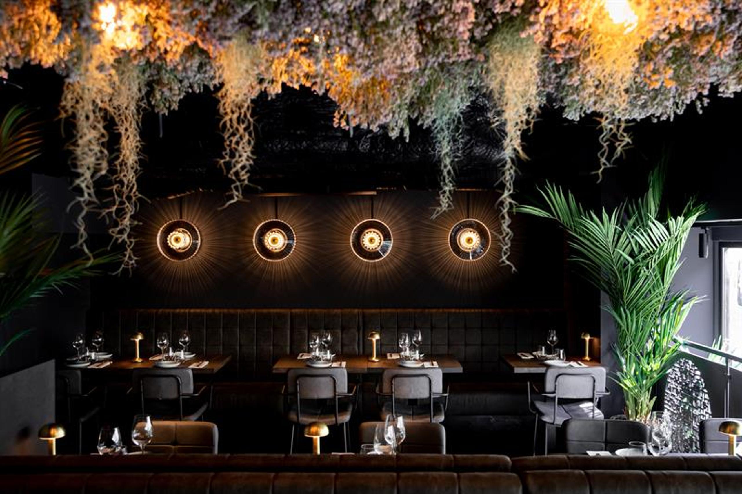 Restaurant interior with vegetation hanging from the ceiling and black walls