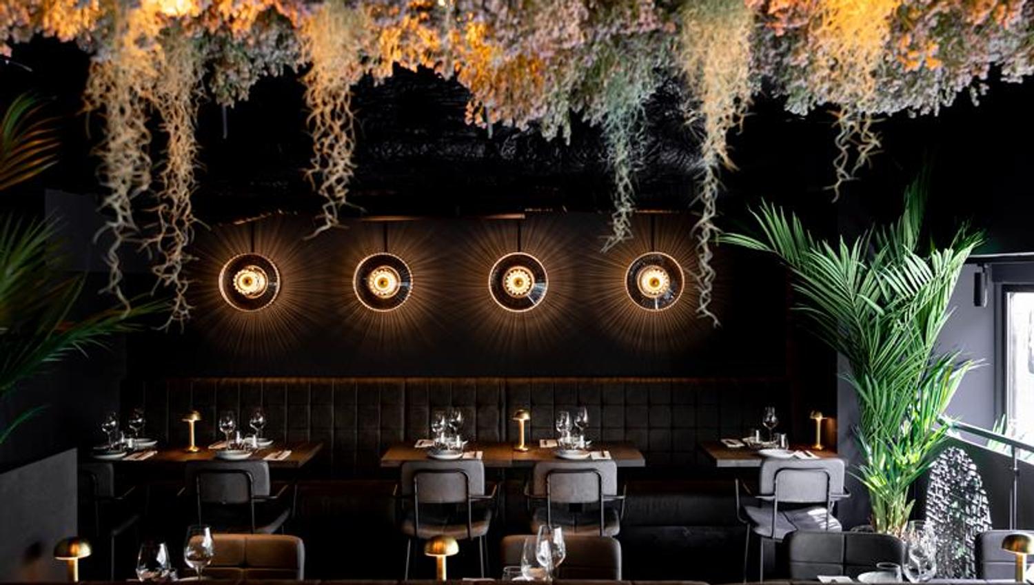 Restaurant interior with vegetation hanging from the ceiling and black walls