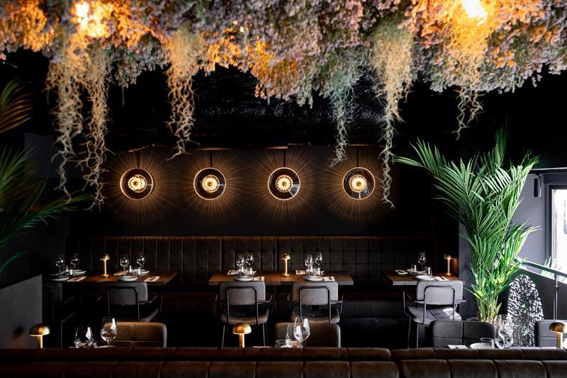 Restaurant interior with vegetation hanging from the ceiling and black walls