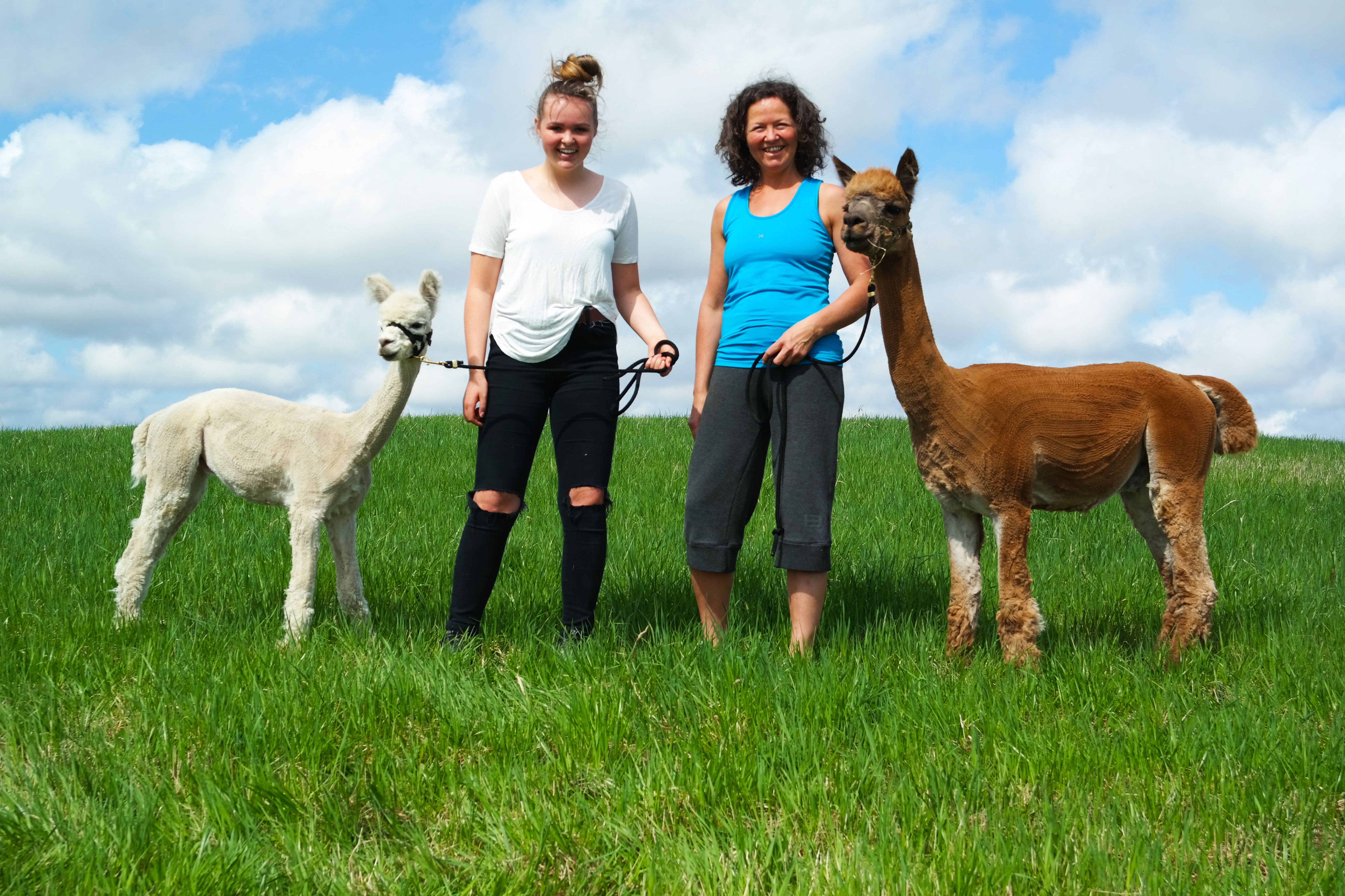 2 ladies and 2 alpacas