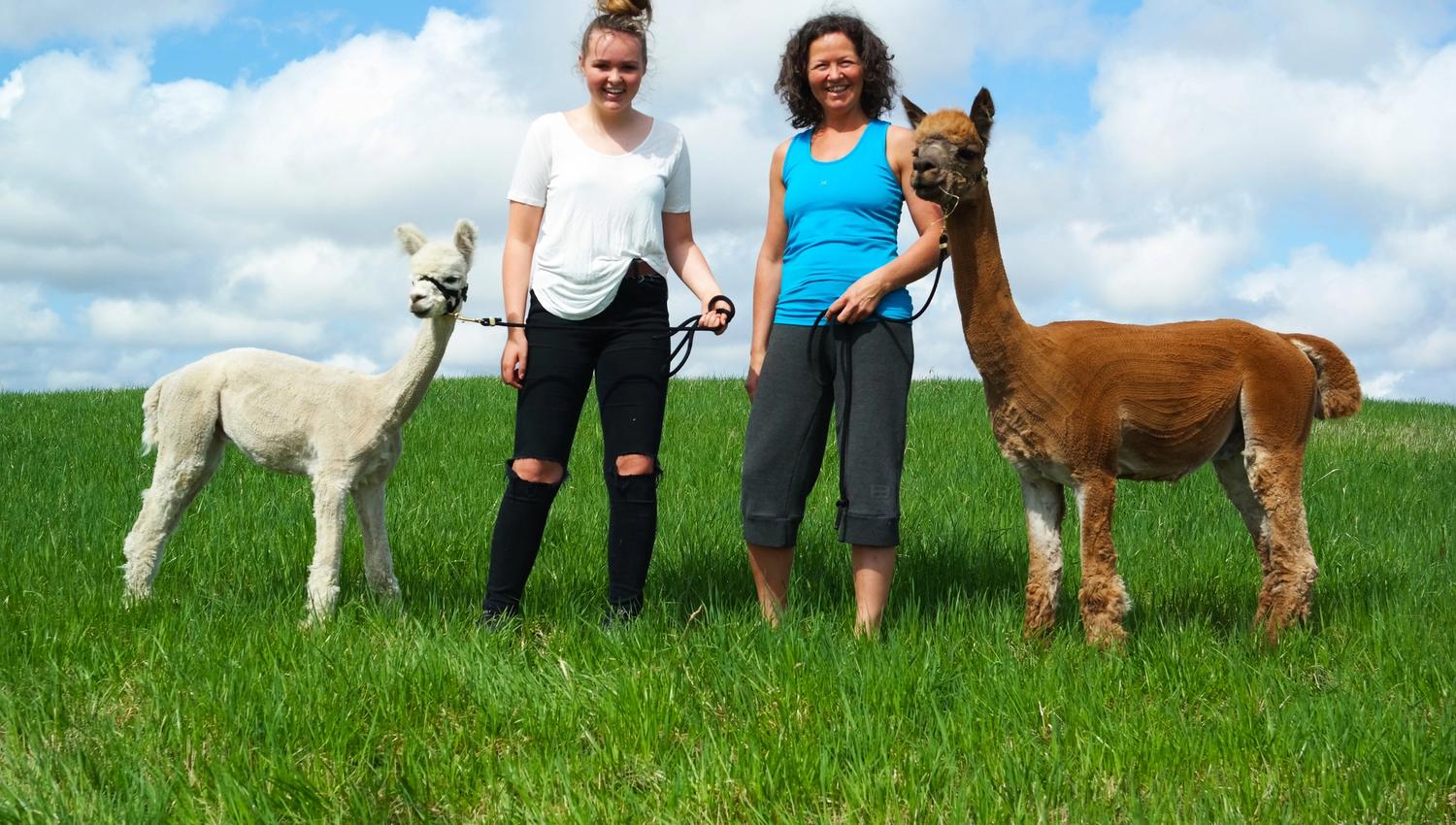 2 ladies and 2 alpacas