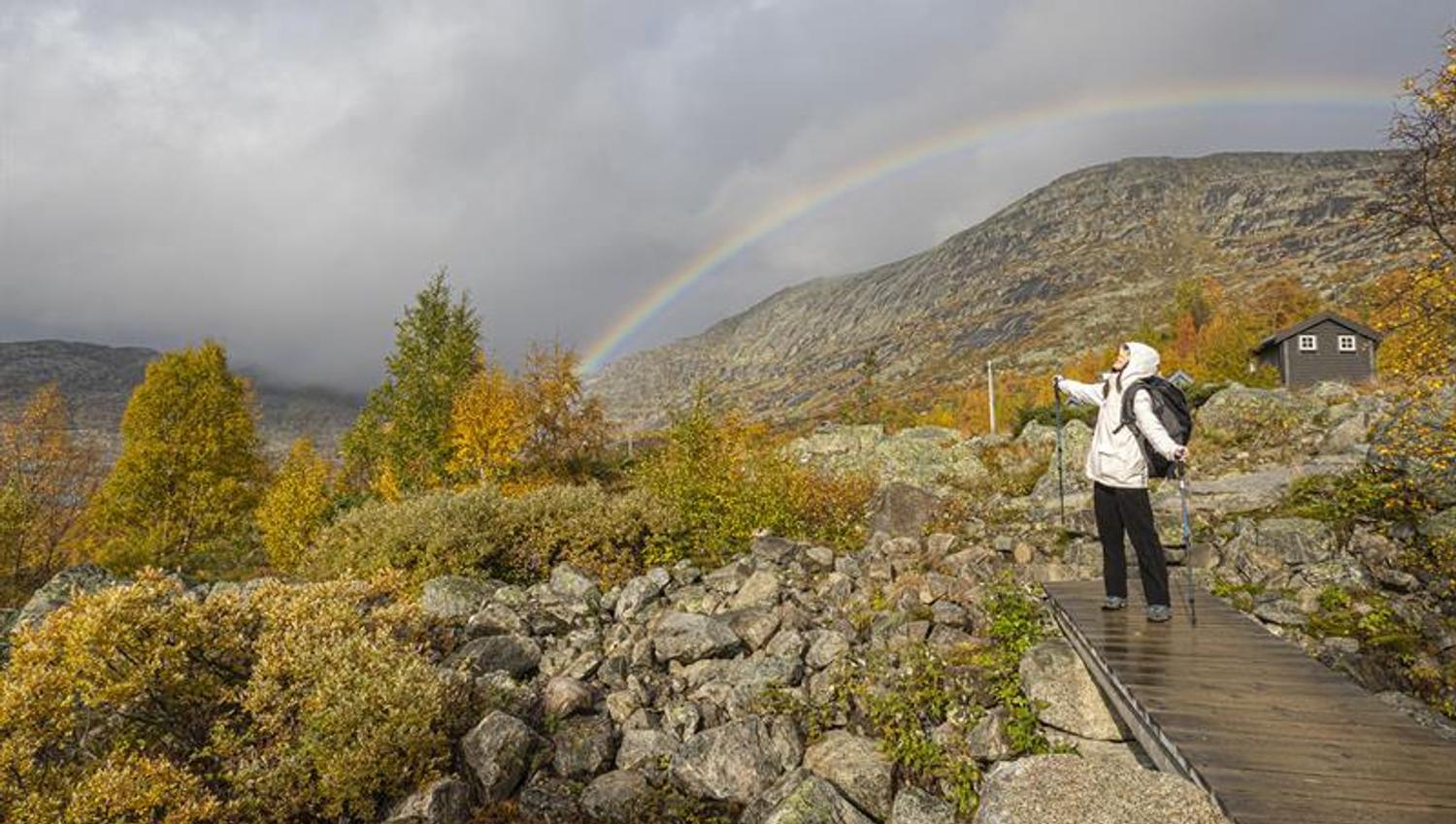 Guidet tur til Trolltunga med Trolltunga Active
