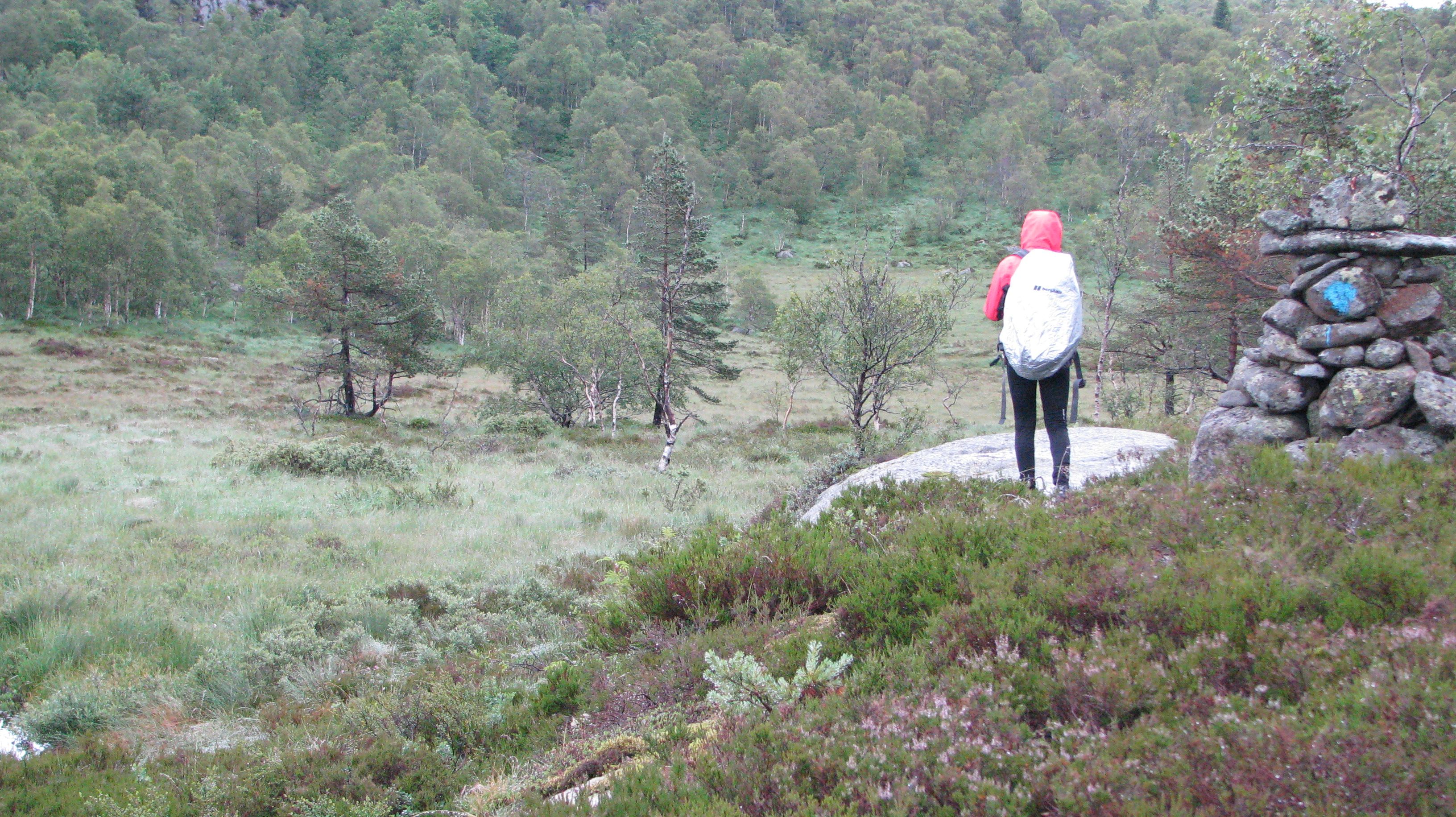 A person standing next to a hiking trail stone pile with a marked blue spot
