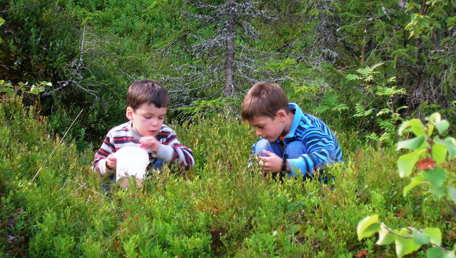 På tur i skogen