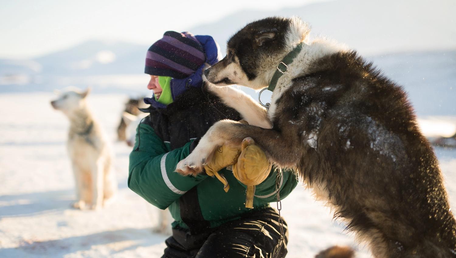 Gjest med hund