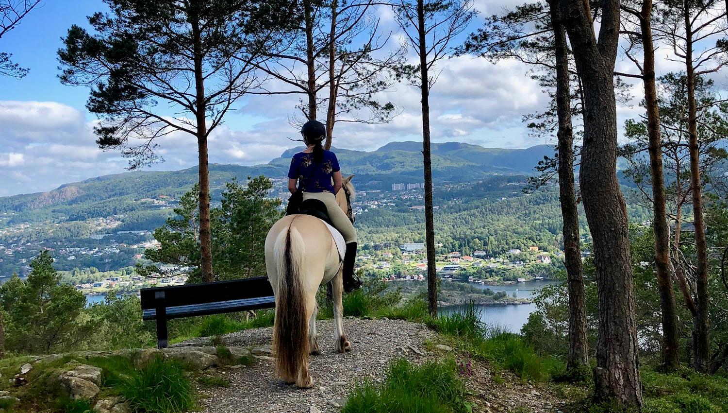 Unique riding tour in the mountains surrounding Bergen city centre