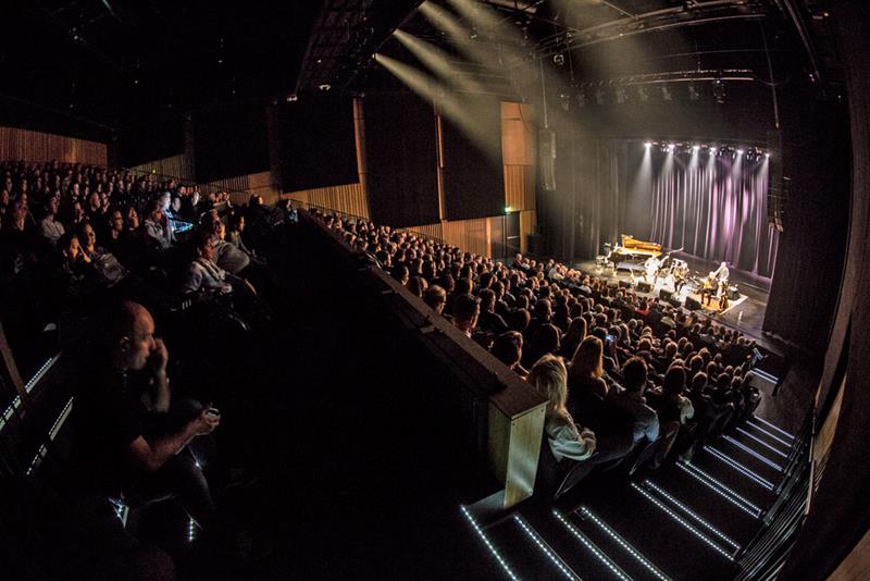 many people at a concert at Ælvespeilet 