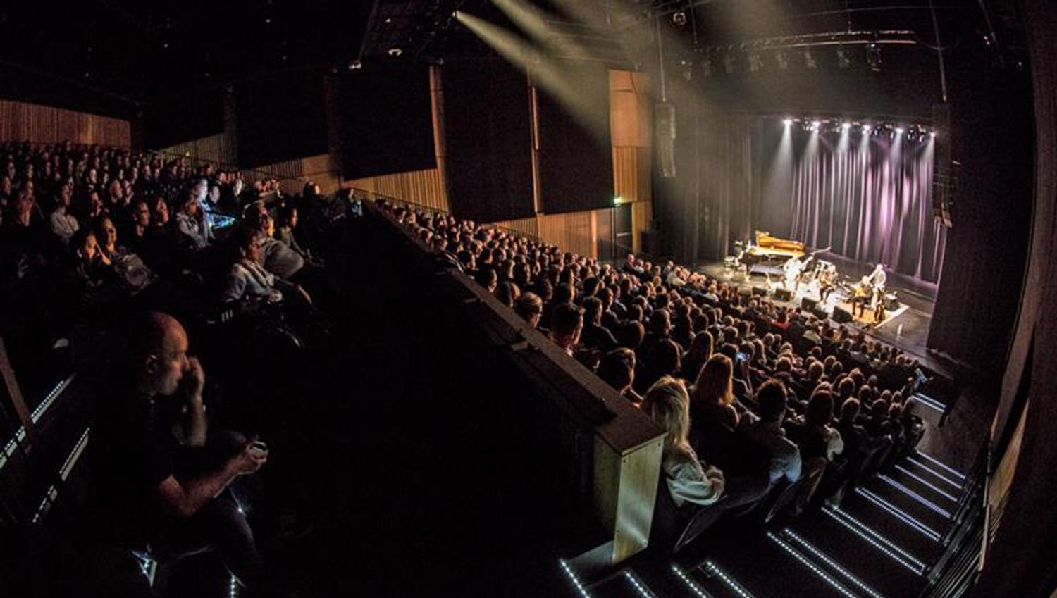 many people at a concert at Ælvespeilet