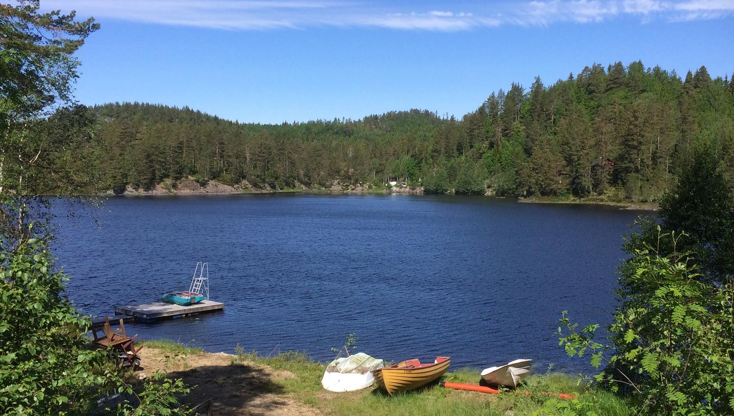 Fiskeplass på Vegårshei