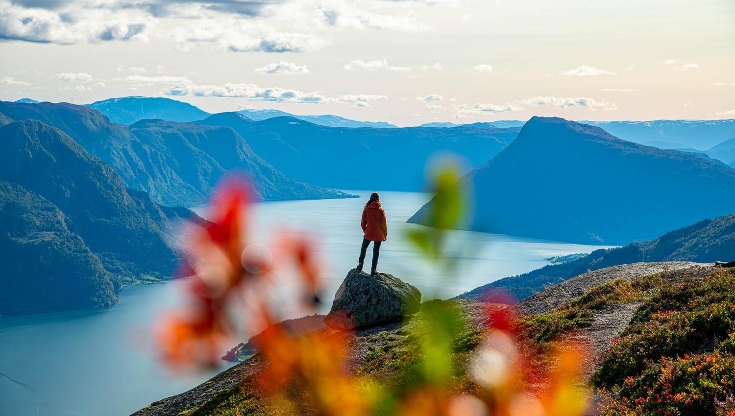 Børesteinen, Luster