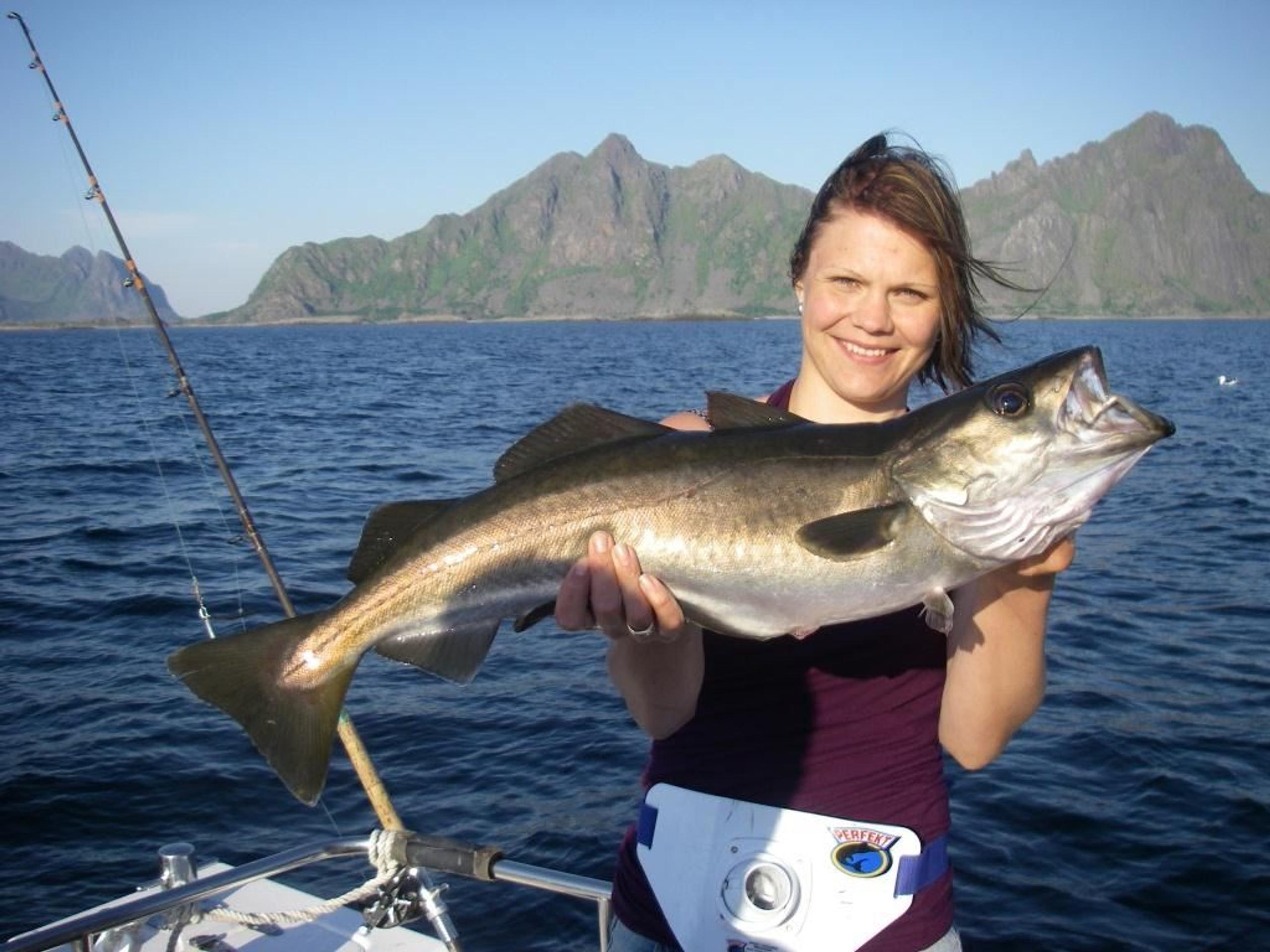 Angeln in Lofoten