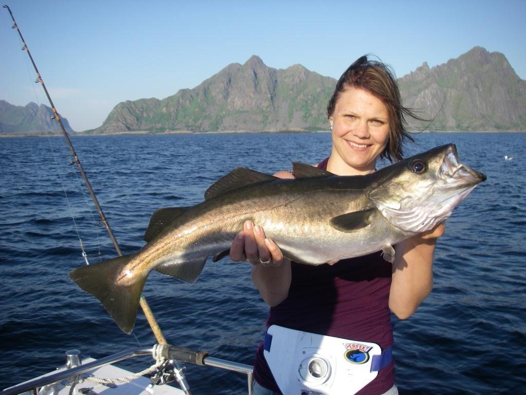 Angeln in Lofoten