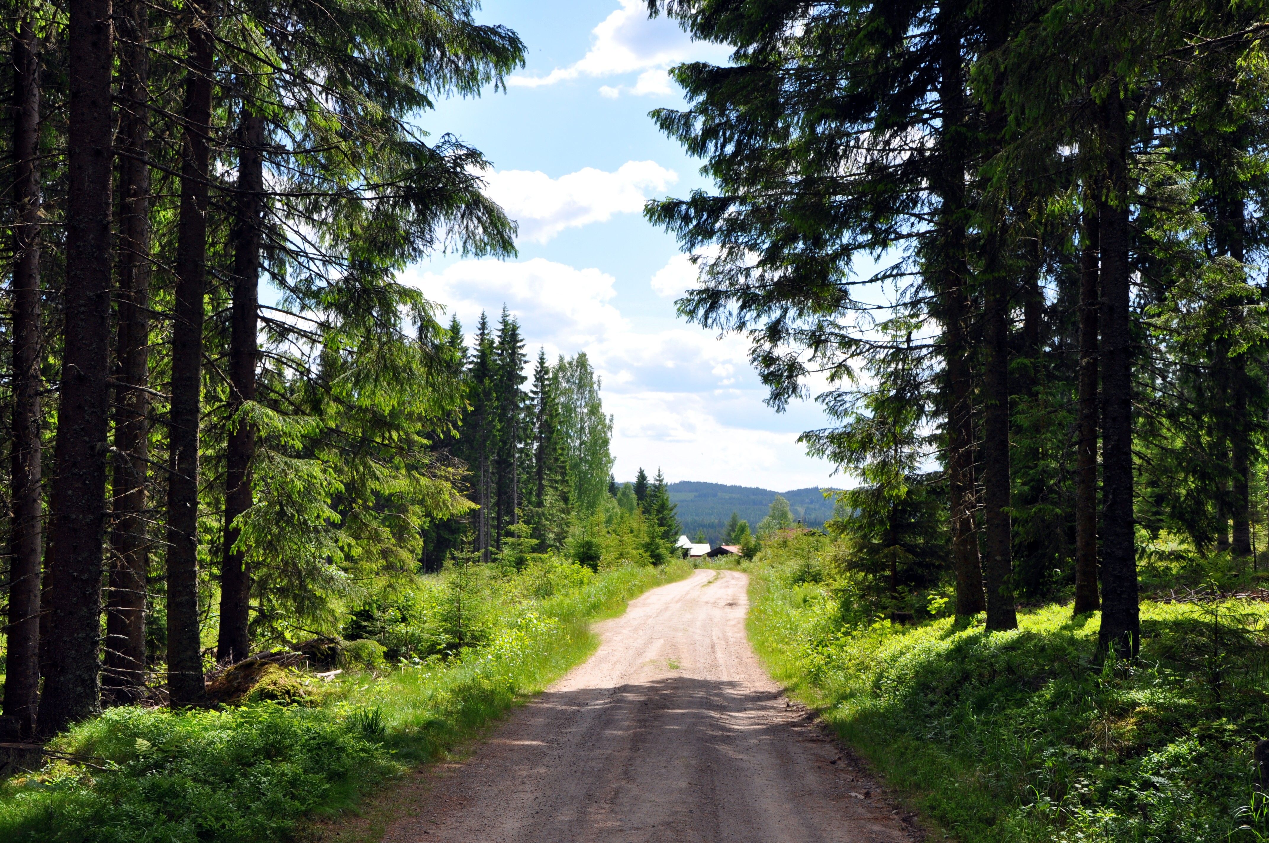 På vei ned fra Flotsberget, Hans Olav Osbak