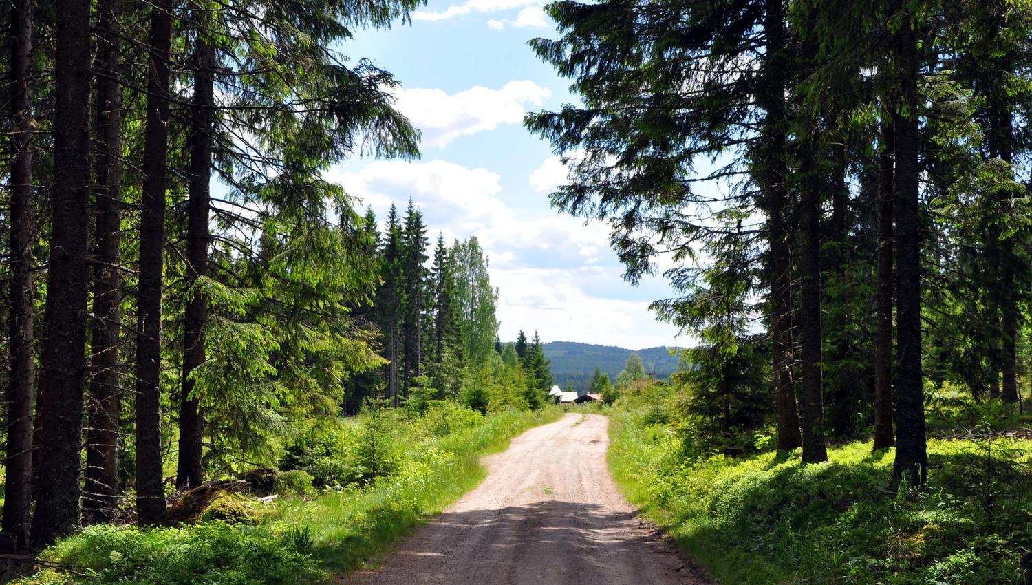 På vei ned fra Flotsberget, Hans Olav Osbak