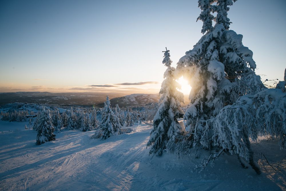 winter landscape on Lifjell in Telemark 