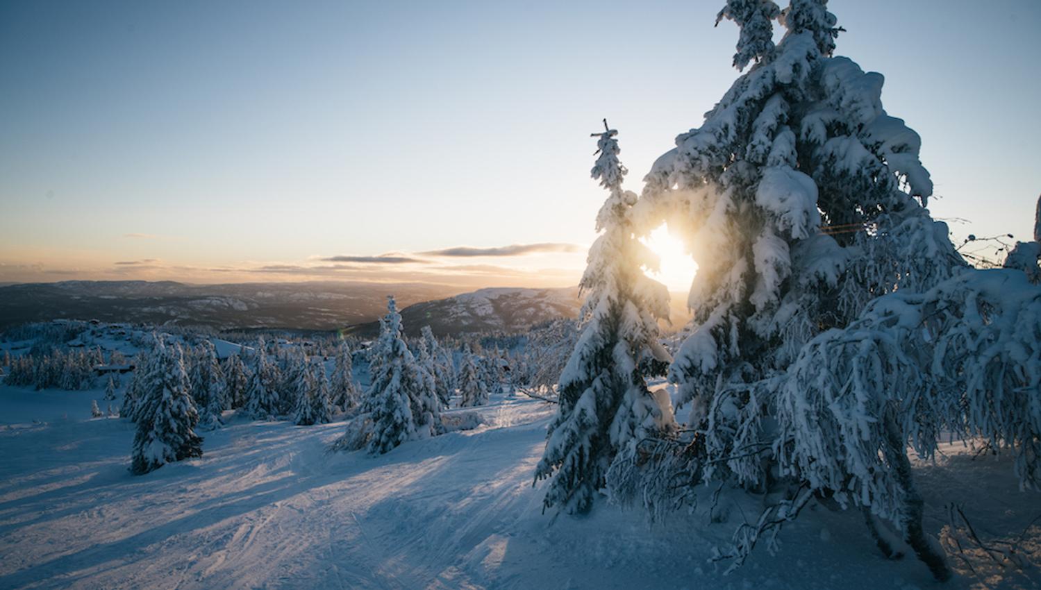 winter landscape on Lifjell in Telemark