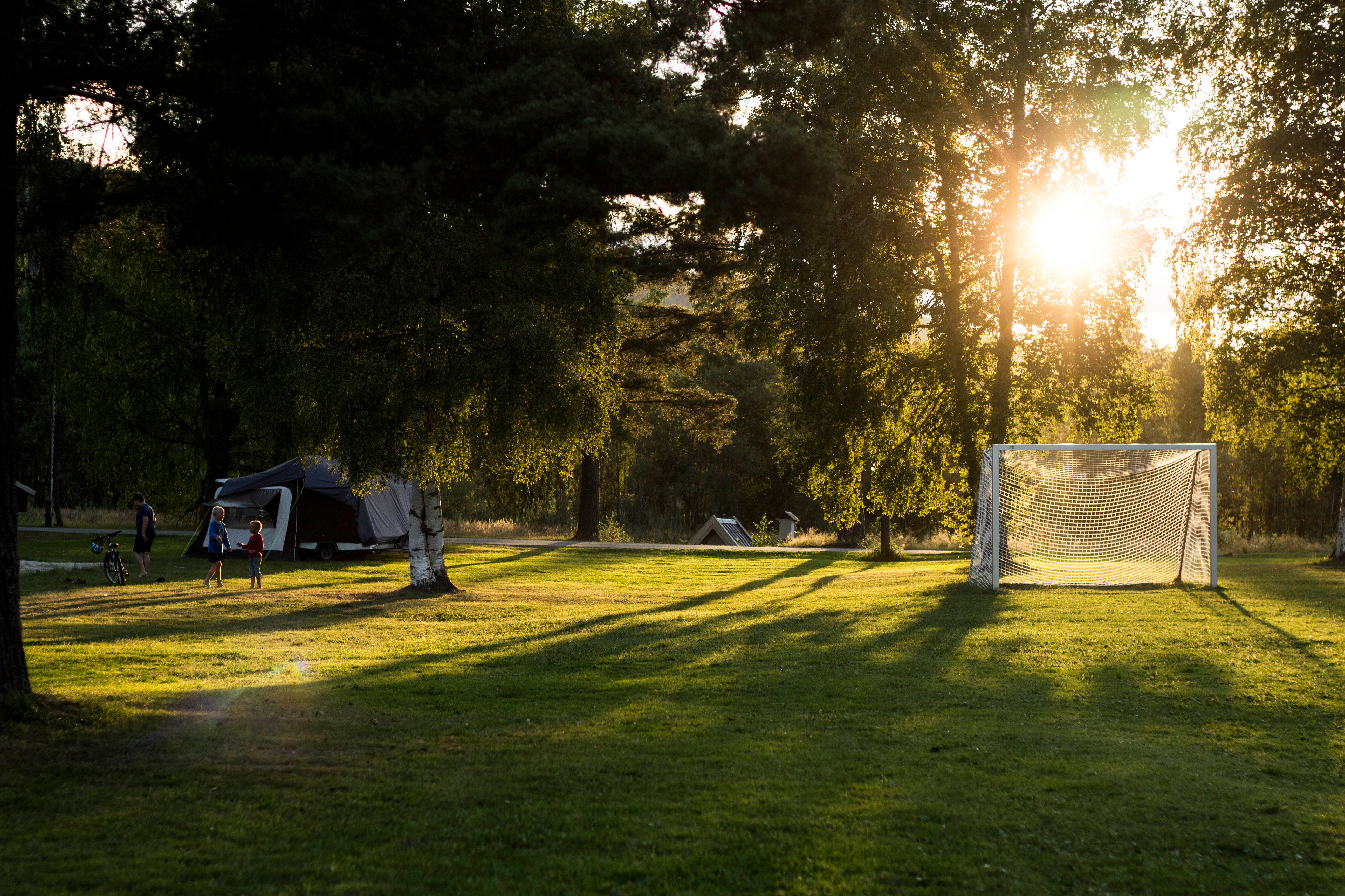 Vakre sommermorgener på Gvarv
