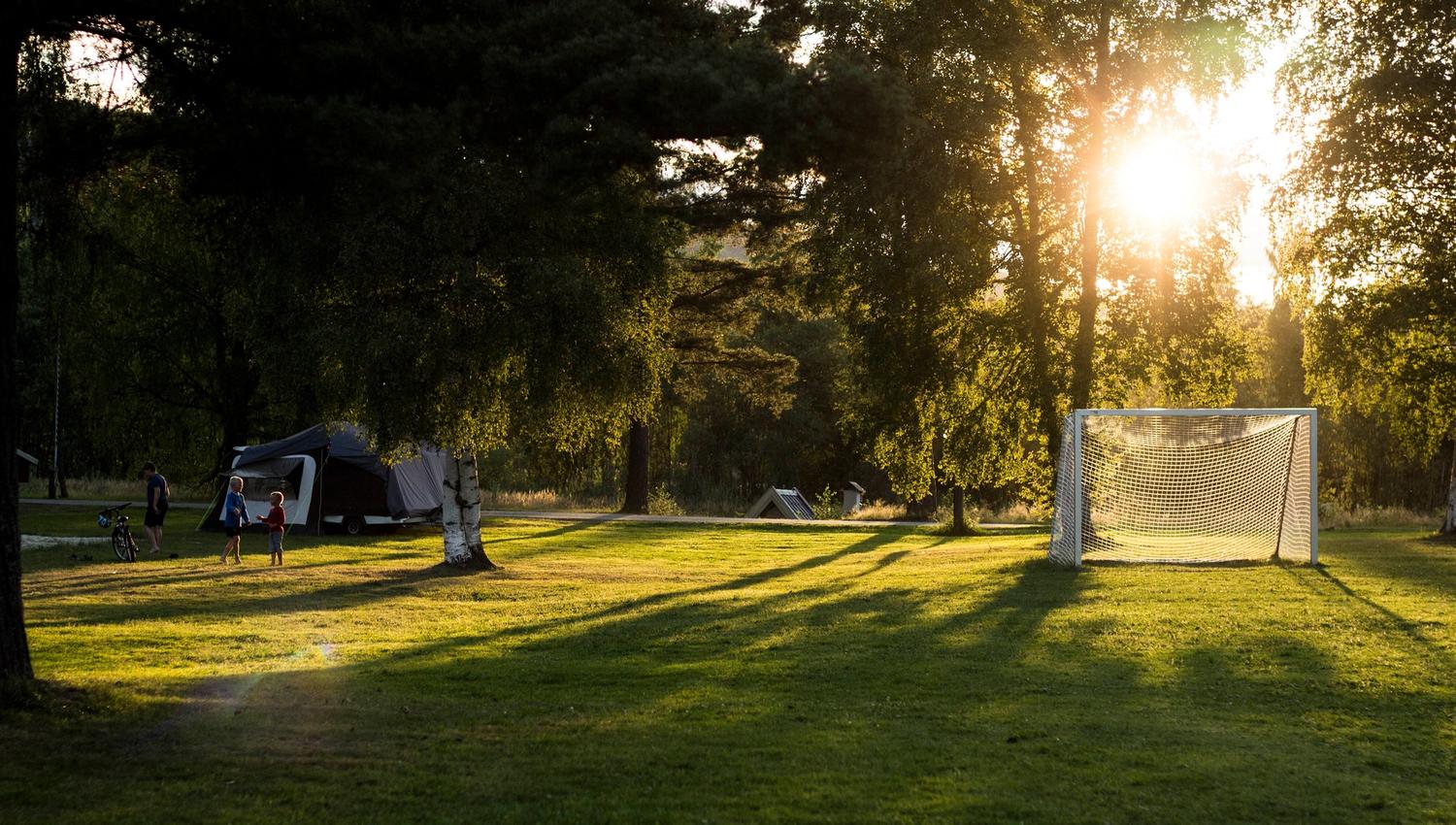 Vakre sommermorgener på Gvarv