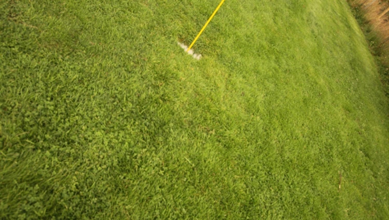 Fotballgolf