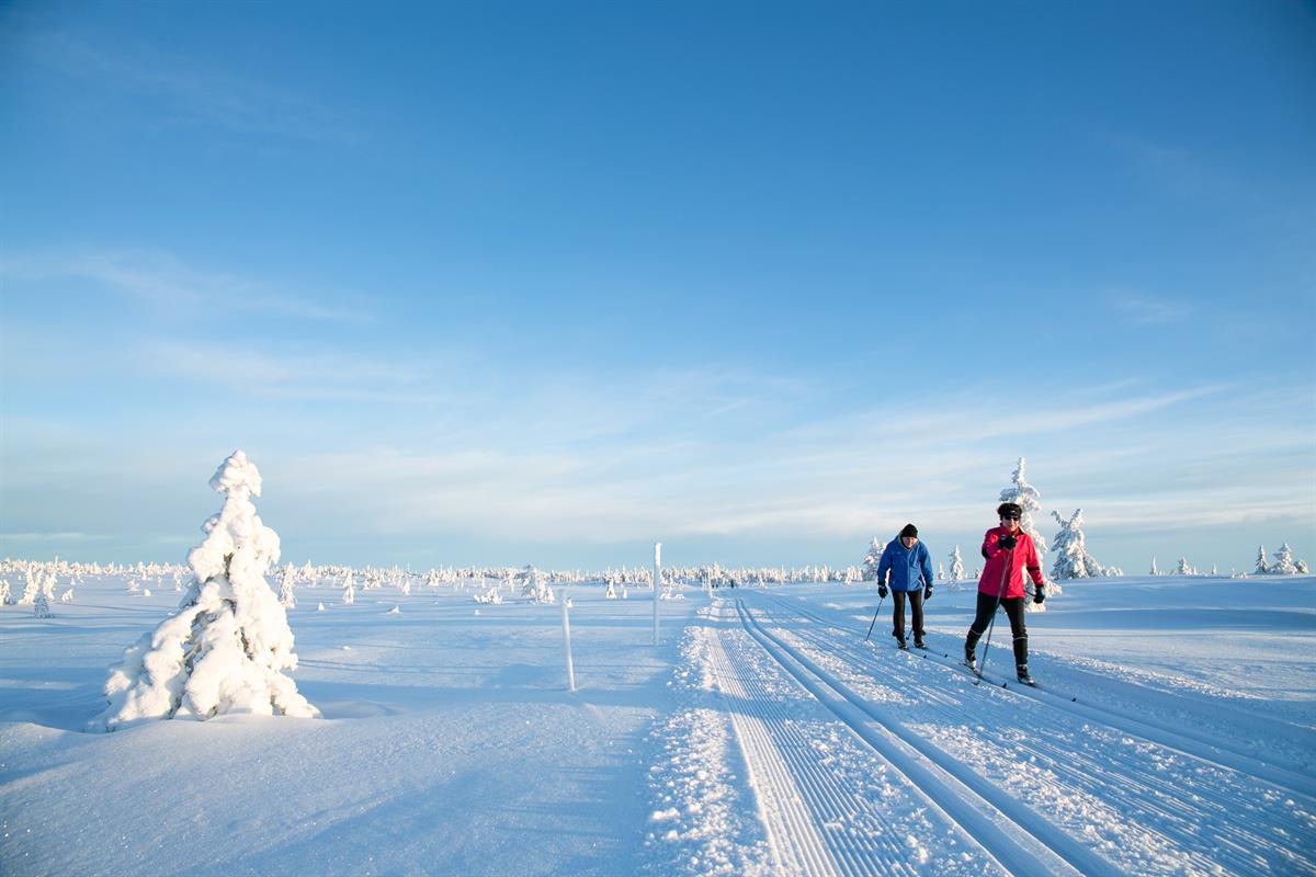 Two cross‑country skiers move along freshly groomed trails across an open, snow-covered mountain plateau beneath a clear blue sky.