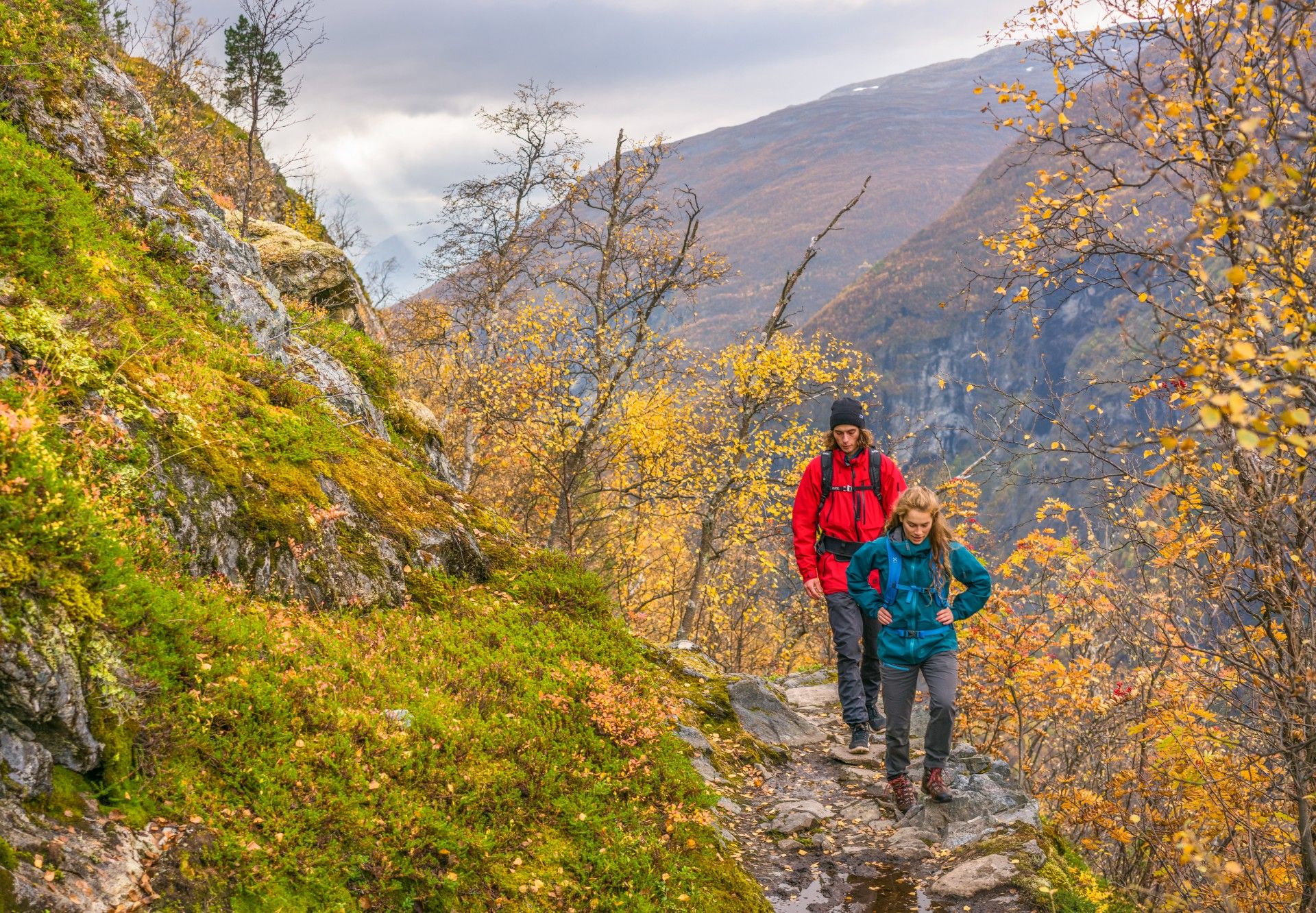 Vettismorki Årdal