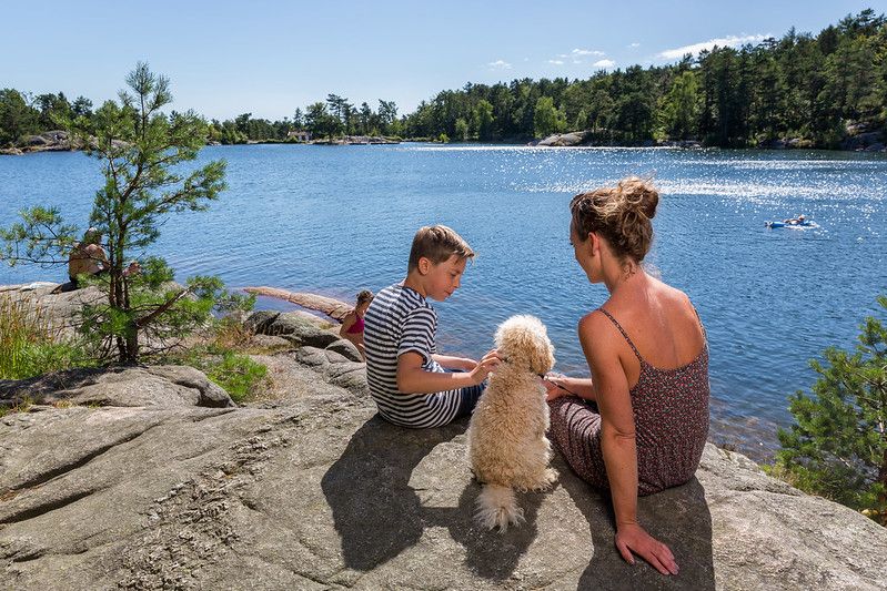 Nydelige sommerdager i Baneheia
