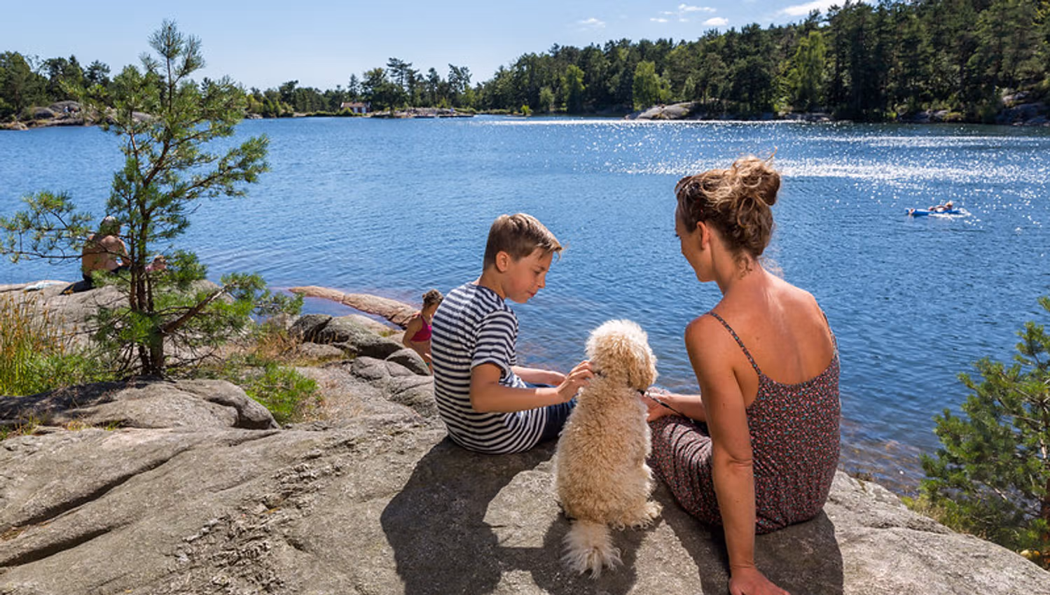 Nydelige sommerdager i Baneheia