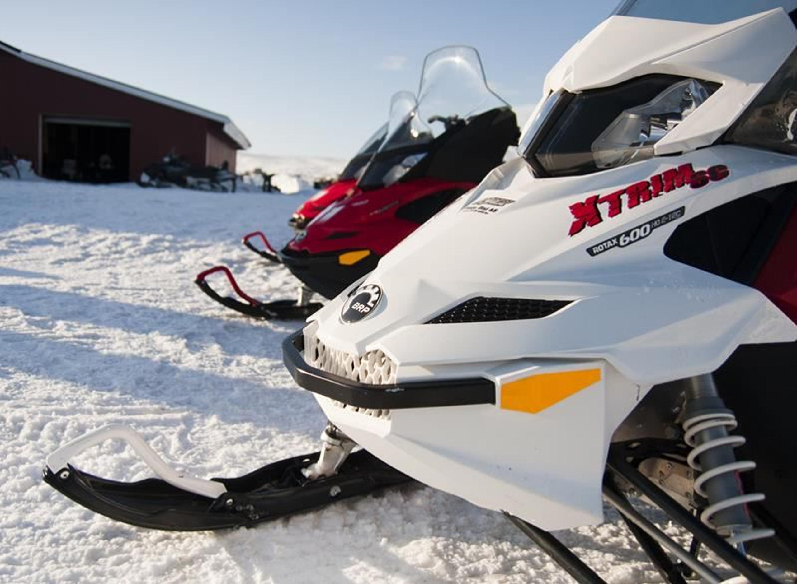 Snowmobile safari to the land of polar bears - Svalbard (5 days) - Nordic Safari