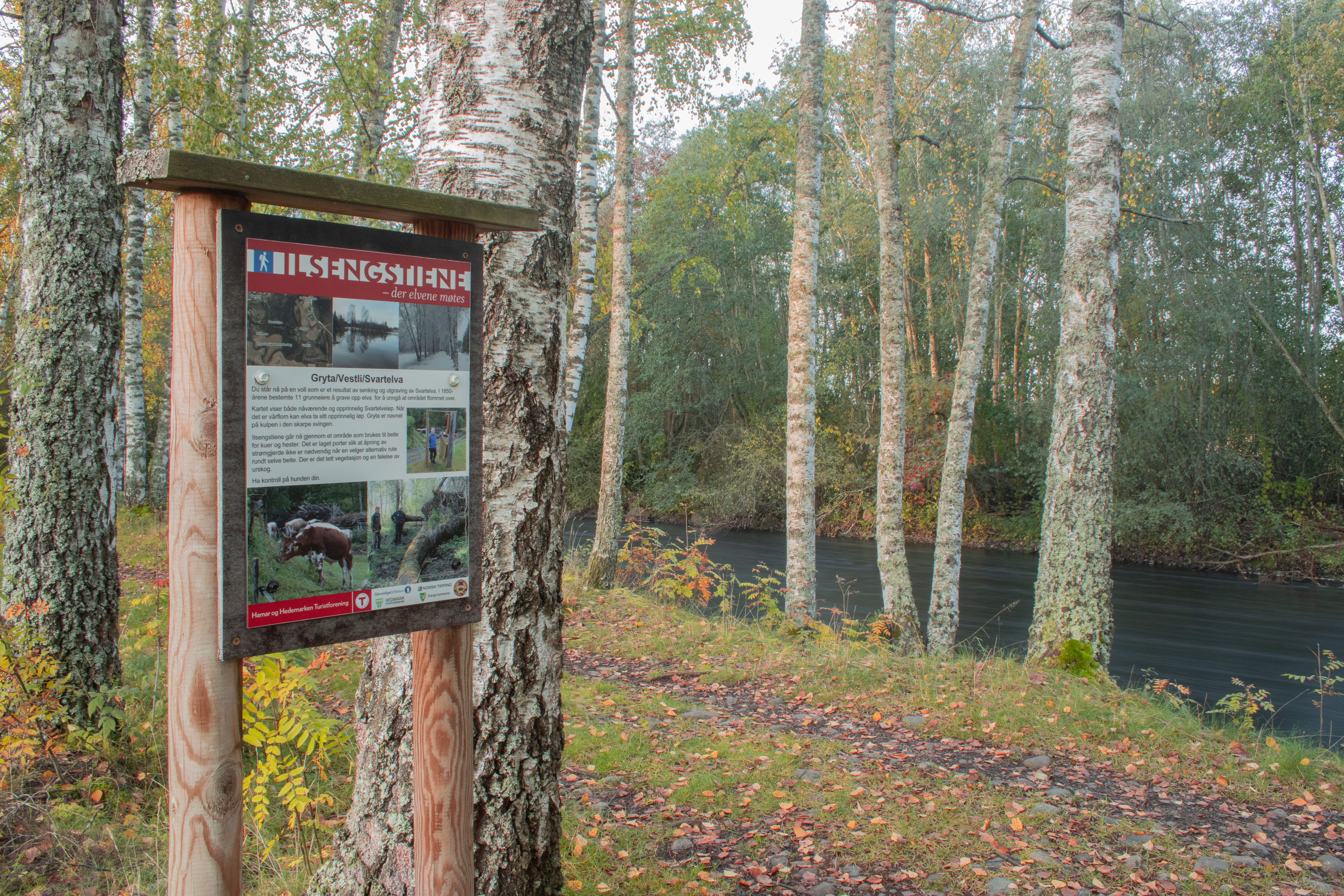 ilsengstiene24