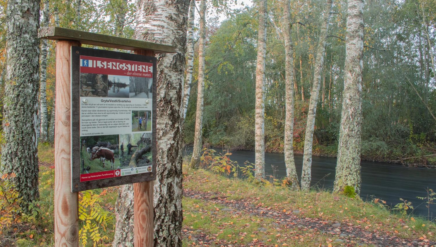 ilsengstiene24