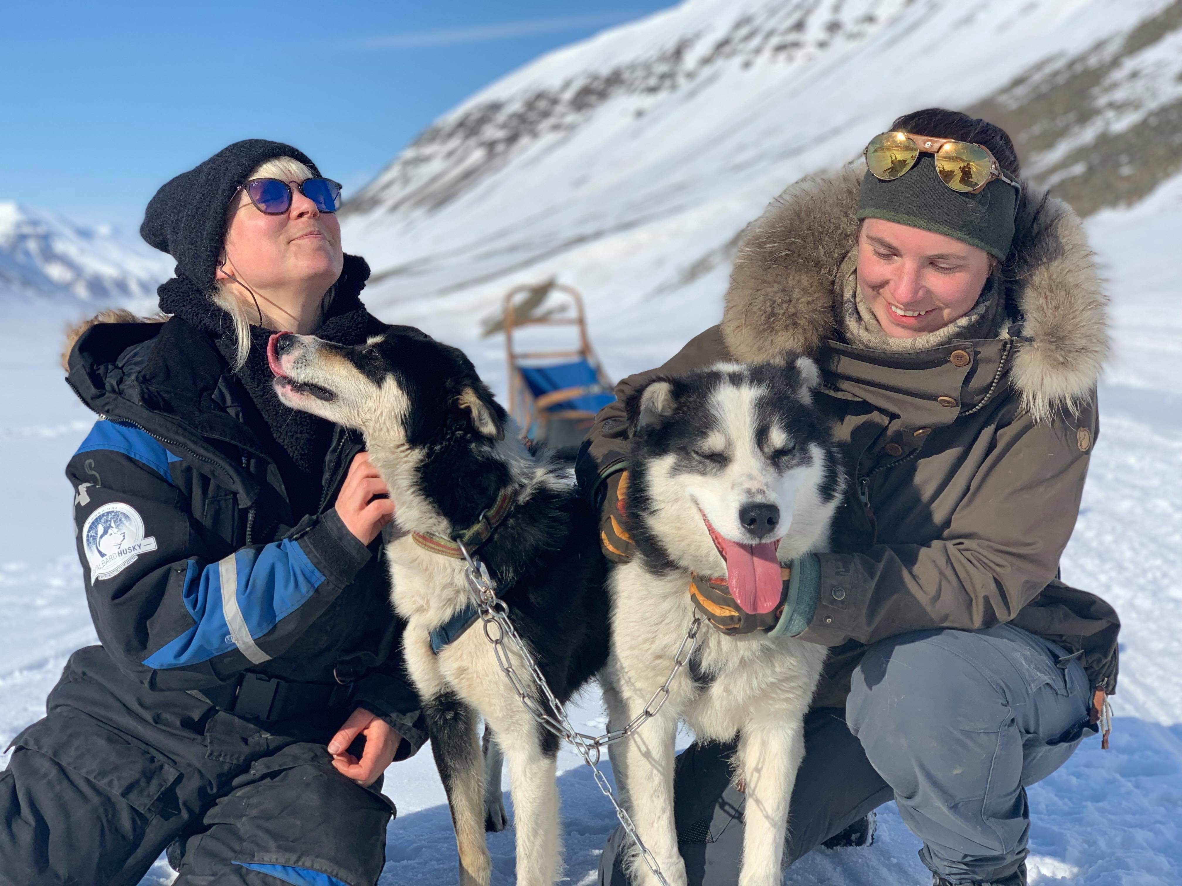 People petting the sled dogs