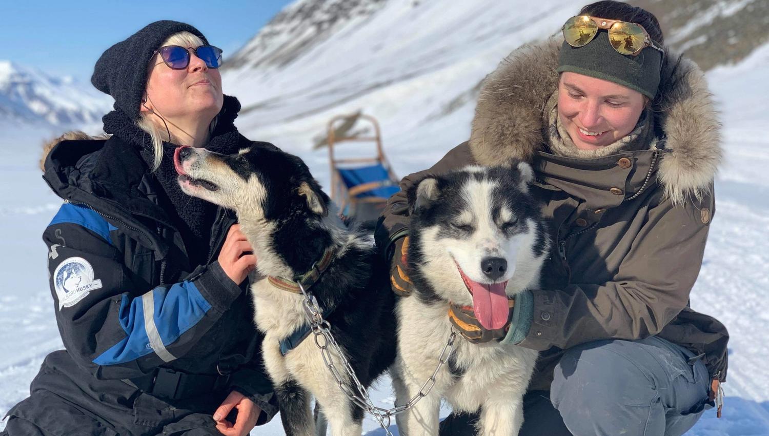 People petting the sled dogs