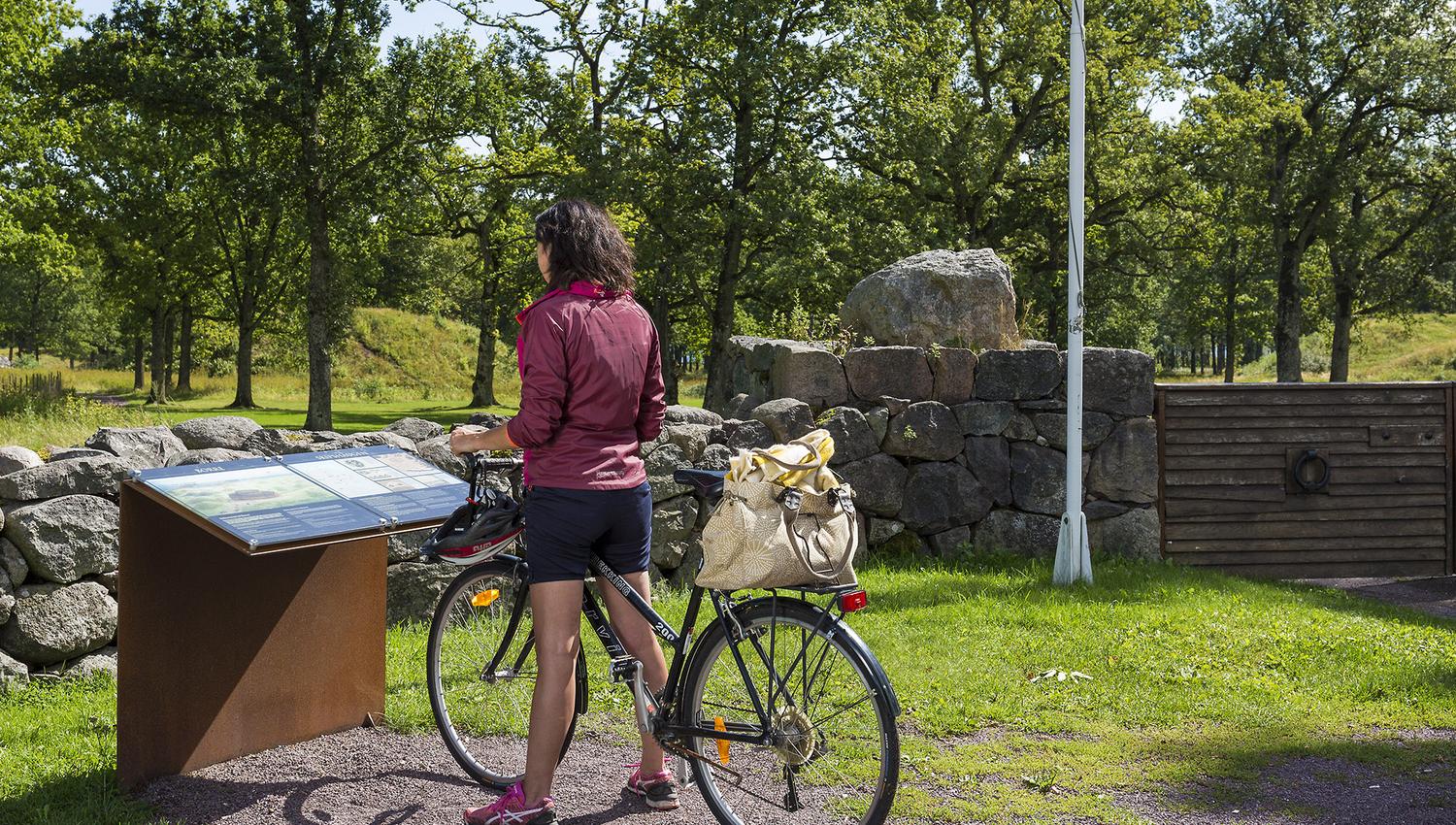 Sykkel Borrehaugene