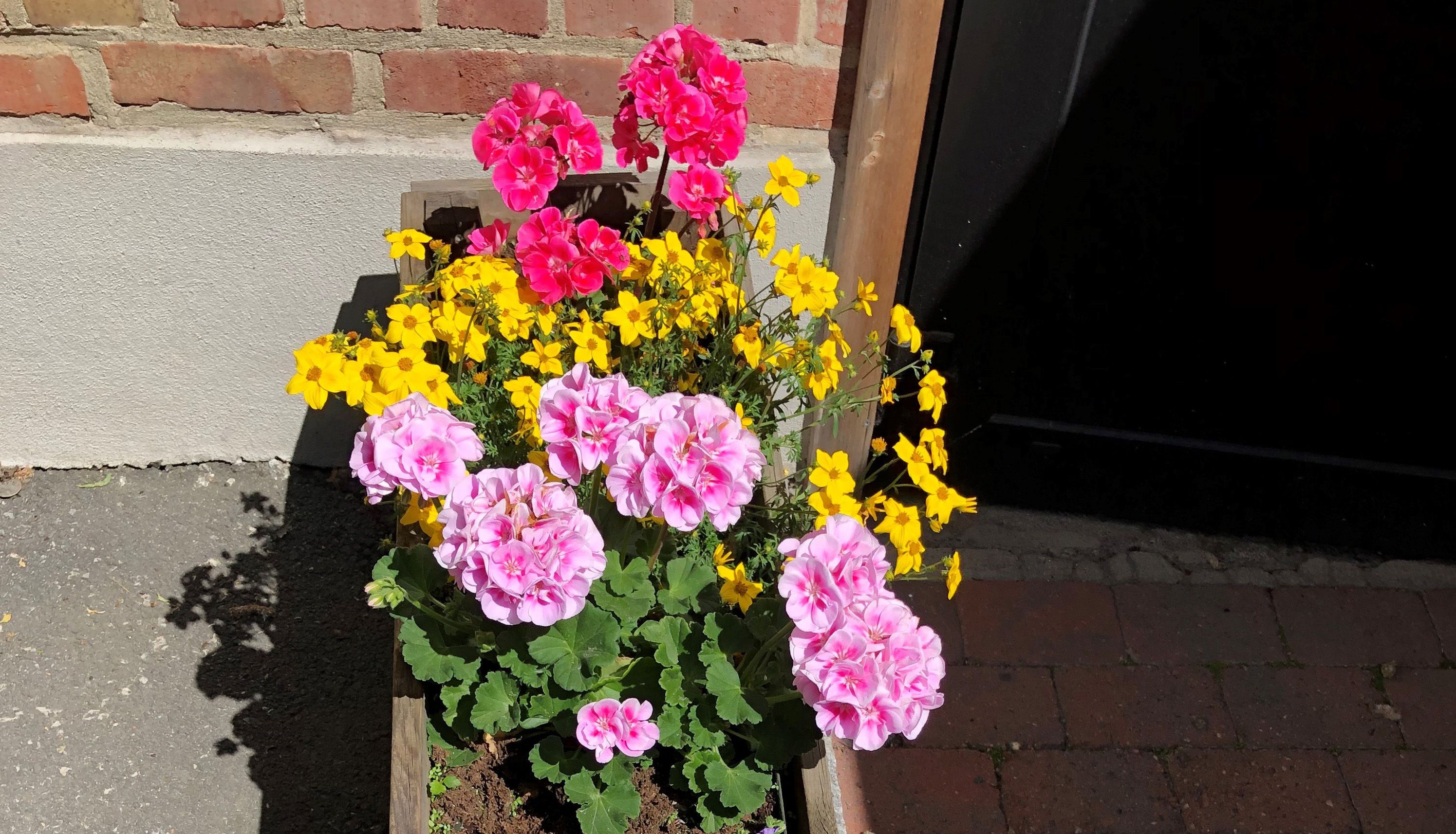 Blomster ved inngangen, Mølla