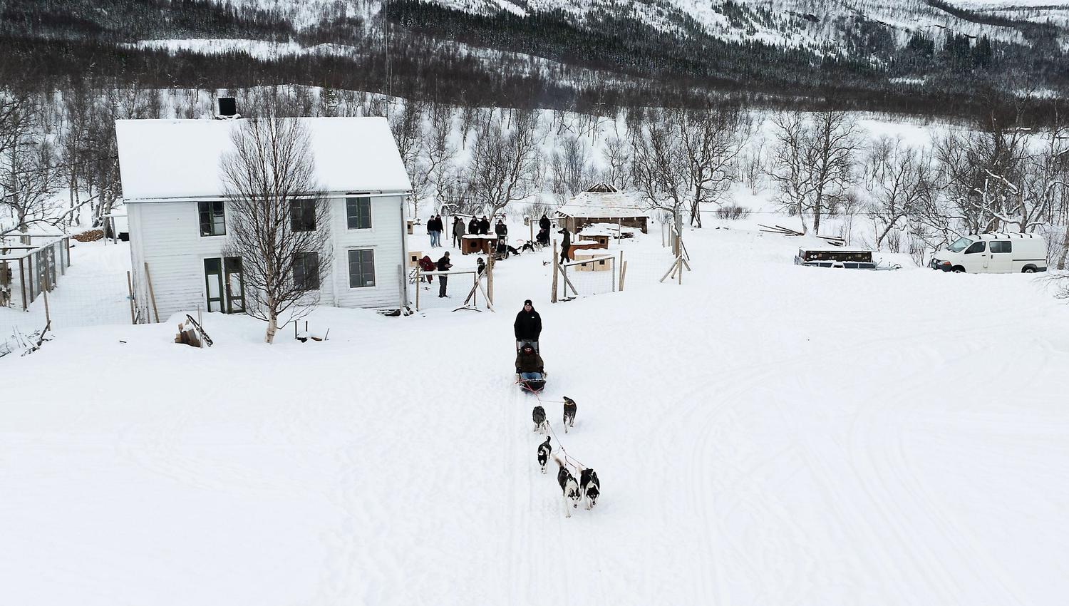 Dog sledding